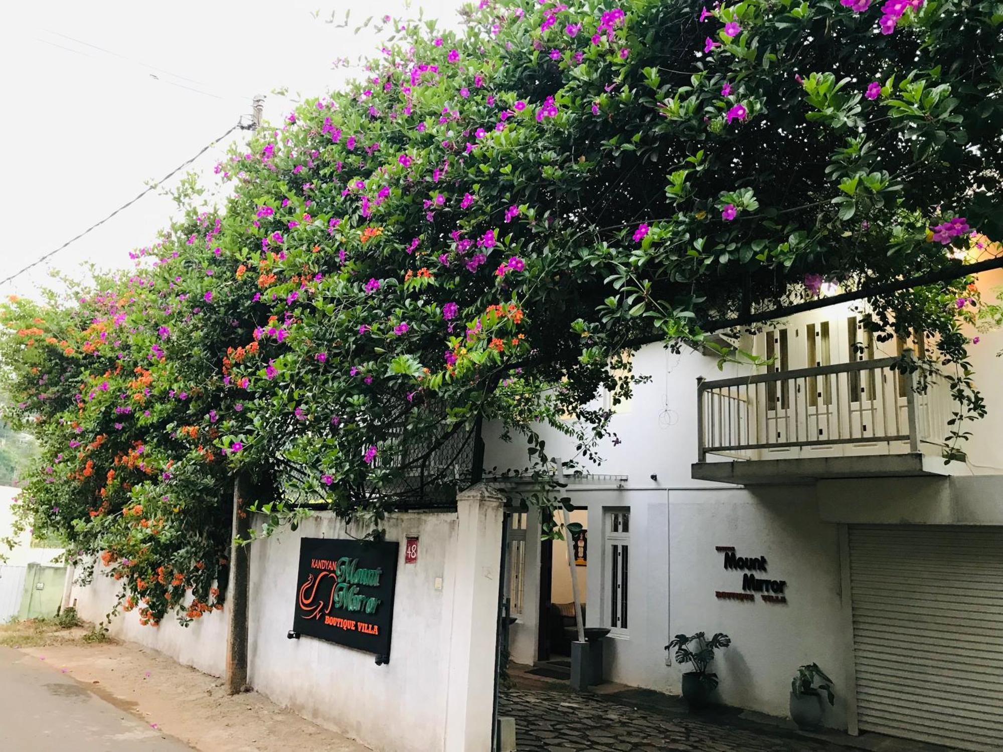 Kandyan Mount Mirror Boutique Villa Dış mekan fotoğraf